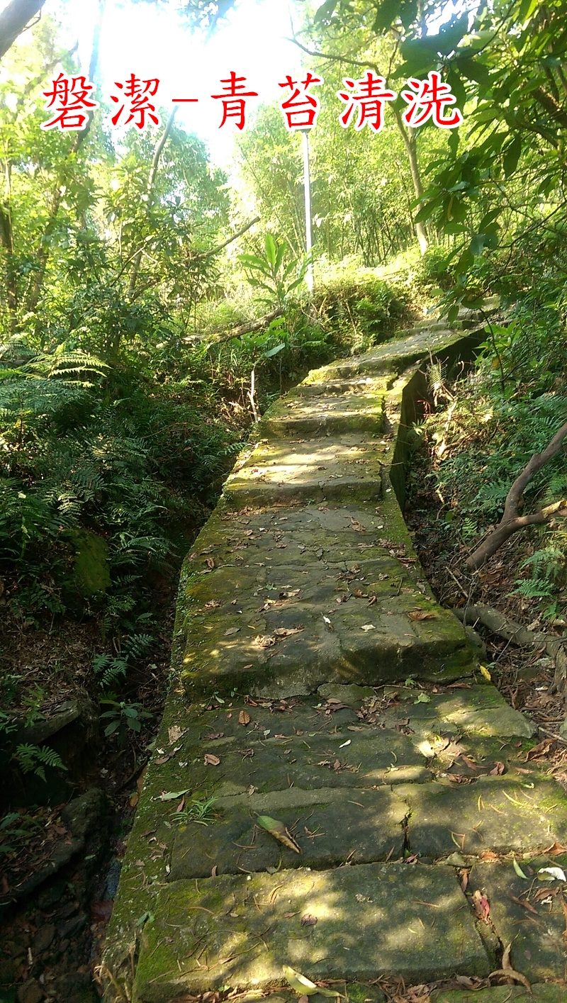 磐潔-登山步道-青苔清洗